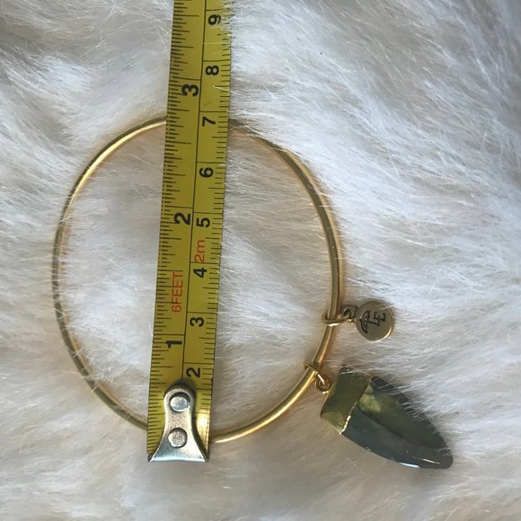 LENNY & EVA BANGLE BRACELET QUARTZ NWT - Picture 11 of 12